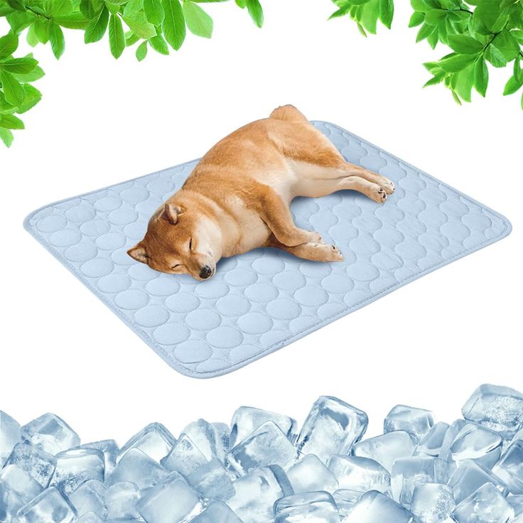 Hladilna podloga – PetCool Pad 100x70 cm